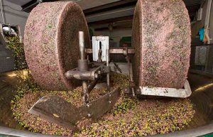 Olive oil mill or press with stone wheel crushing olives | Oliveo Escapes