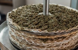Olive oil press. Capachos and olive pomace | Oliveo Escapes