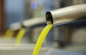 Decantation of extra virgin olive oil at the mill | Oliveo Escapes